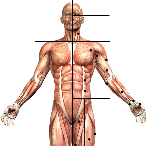 Fisioterapia